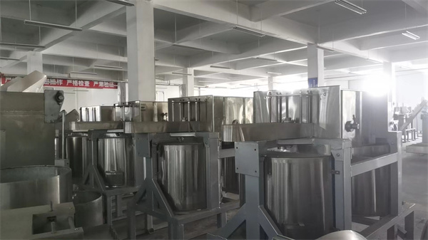 雙桶脫油機