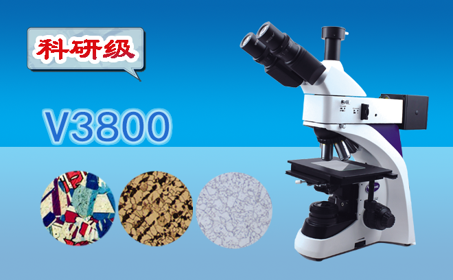 1764039287666336.png 1764039287666336.png